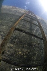Ladder. Trefor pier. D200, 10.5mm. by Derek Haslam 